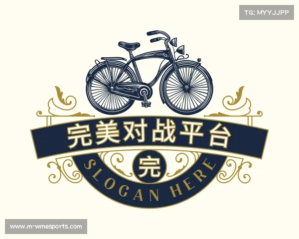 解读完美对战平台